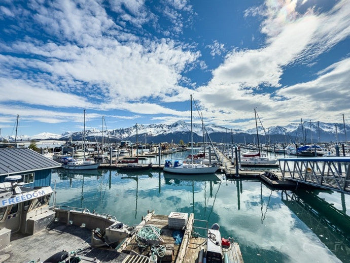 Alaskas wilde Magie - Begegnungen mit Orkas, Ottern & Adlern in Seward