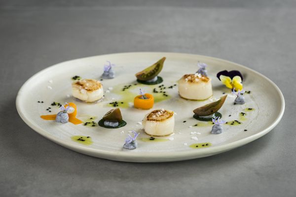 Aromatisches Fischsalz
