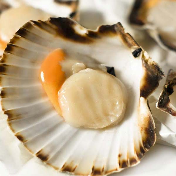 Alaska Wildfang Scallops